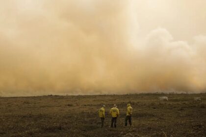El Niño: Embrapa recomenda medidas para conservar a água e reduzir os efeitos do estresse hídrico e térmico, no Sudeste