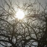 El Niño 2026/2027: alerta da Embrapa prevê seca no Centro‑Oeste (setembro a janeiro de 2027)