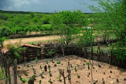 El Niño 2026/2027 ameaça produção no Nordeste: Embrapa alerta