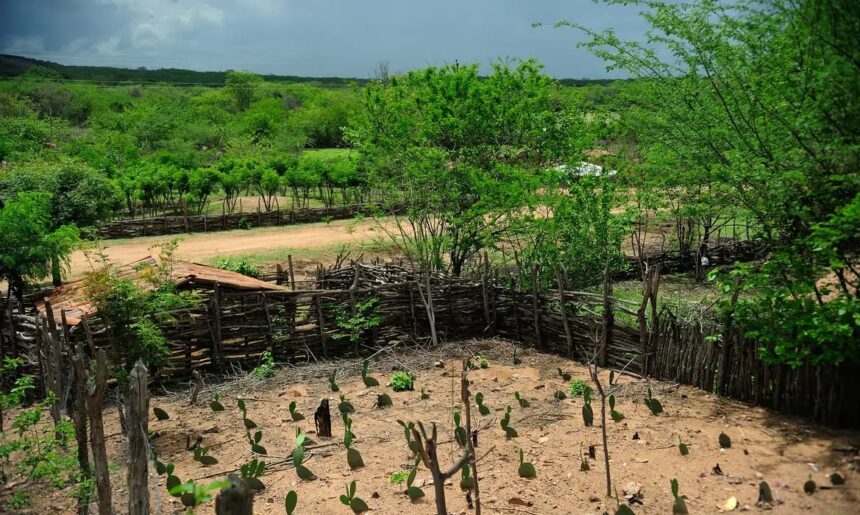 El Niño 2026/2027 ameaça produção no Nordeste: Embrapa alerta