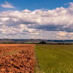 Mapa lança plataforma de apoio ao agronegócio diante do El Niño 2026/2027