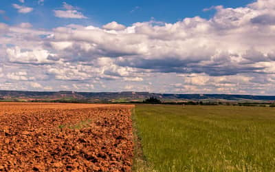 Mapa lança plataforma de apoio ao agronegócio diante do El Niño 2026/2027