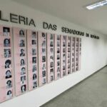 Eleições ampliam presença feminina no Congresso; desafio é transformar representação em influência