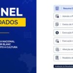 Painel de Dados da Aldir Blanc recebe upgrade com novas funcionalidades