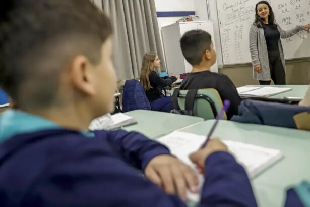 STF determina aplicação do piso salarial do magistério a professores temporários a partir de 2027