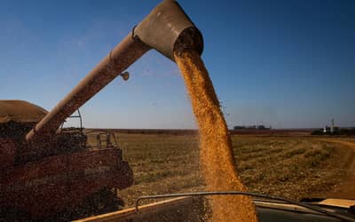 Seguro rural: nova lei proíbe bloqueio de recursos do subsídio federal